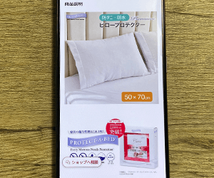 Protect-A-Bed （プロテクト・ア・ベッド） 枕カバー